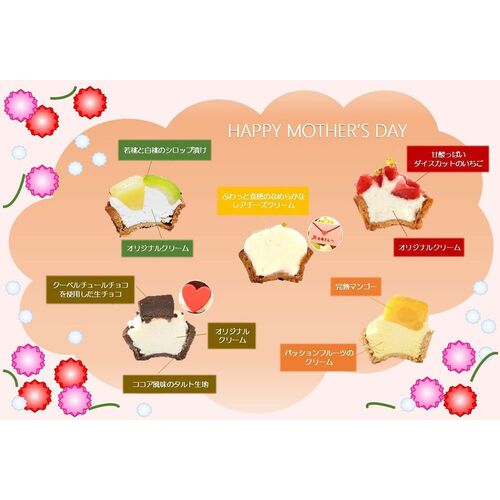 母の日限定ミニタルトセット 9個入 / 冷凍 送料無料 タルト ケーキ スイーツ ギフト プレゼント