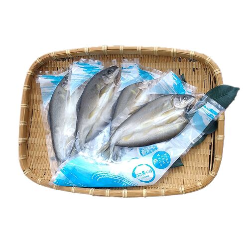 四万十鮎の一夜干し4尾 / 冷凍 送料無料 あゆ アユ 干物 一夜干し ギフト 高知