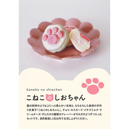 こねこのしおちゃん10個入り / 冷凍 送料無料 お菓子 ねこ 猫 ギフト