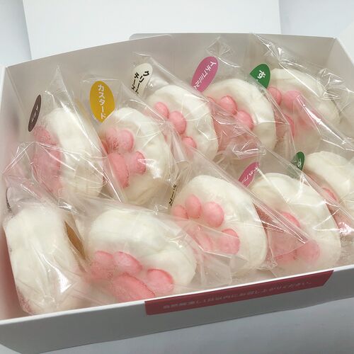 こねこのしおちゃん10個入り / 冷凍 送料無料 お菓子 ねこ 猫 ギフト