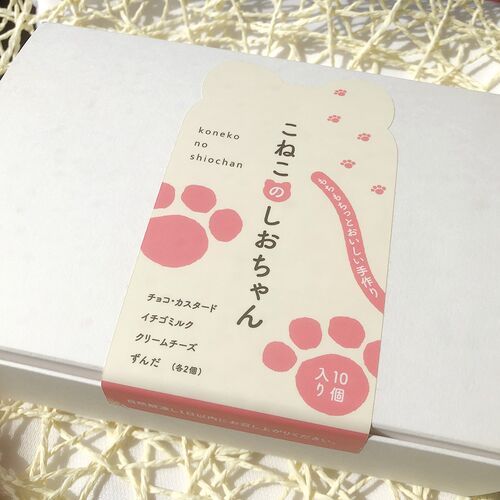 こねこのしおちゃん10個入り / 冷凍 送料無料 お菓子 ねこ 猫 ギフト