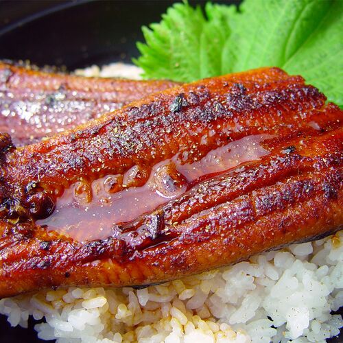 四万十味紀行 うなぎ蒲焼2人前 / 冷凍 送料無料 鰻 ウナギ かば焼き ギフト 高知