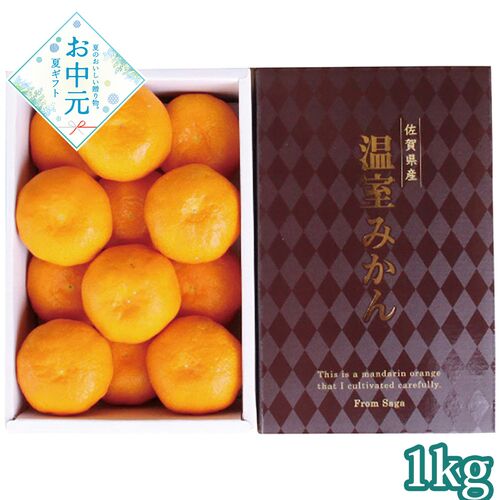 【お中元】佐賀県産 ハウスみかん1kg≪供給期間：2026/7/1～2026/8/3≫ / 常温 送料無料 みかん ミカン セット