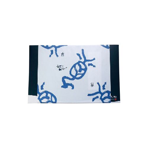【お中元】山陰大松 氷温熟成 煮魚・焼魚ギフトセット10切≪供給期間：2026/6/16～2026/8/3≫ / 冷凍 送料無料 詰め合わせ セット