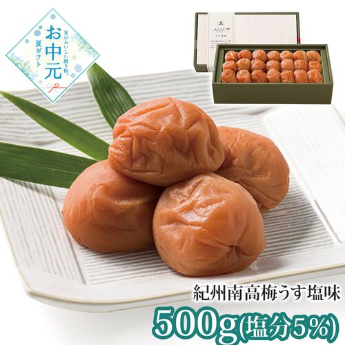 【お中元】梅道 紀州南高梅うす塩味≪供給期間：2026/6/16～2026/8/3≫ / 常温 送料無料 梅干し うめぼし