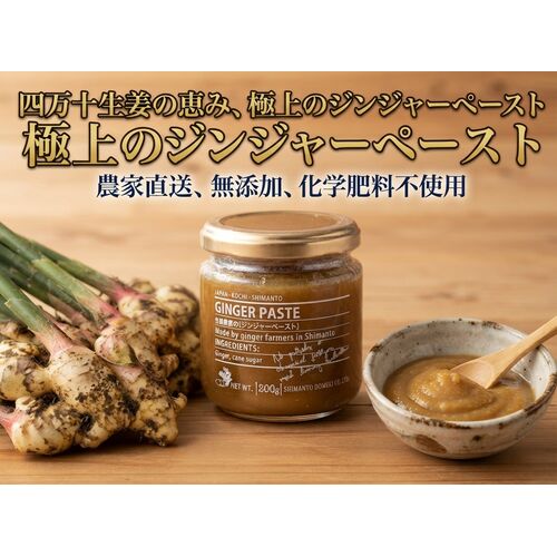 【上代厳守】生姜農家が作る、幻の無添加ジンジャーペースト / 国産 常温 送料無料