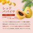 レッドパパイヤ 6玉