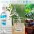 北欧ノルウェーの天然水オルデン 500ml×24本 / ミネラルウォーター