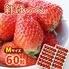 【期間限定】紅ほっぺ Mサイズ(60粒) ≪お届け期間：2025/1/7～2025/6/30≫