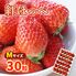 【期間限定】紅ほっぺ Mサイズ(30粒) ≪お届け期間：2025/1/7～2025/6/30≫