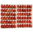 【期間限定】紅ほっぺ Sサイズ(72粒)  ≪お届け期間：2025/1/7～2025/6/30≫