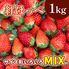 紅ほっぺ MIX (サイズ、形いろいろ）