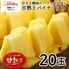 【業務用】パイナップル 小玉 20玉 約14kg 甘熟王パイン / 送料無料 フルーツ 果物