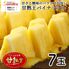 【業務用】パイナップル 小玉 7玉 約5kg 甘熟王パイン / 送料無料 フルーツ 果物