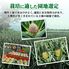 【業務用】パイナップル 小玉 7玉 約5kg 甘熟王パイン / 送料無料 フルーツ 果物