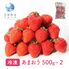 あまおう 500g×2パック / 冷凍フルーツ デザート 苺 いちご イチゴ