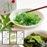 茶彩菓「憩い」 （わらびもち、くずきり） / 抹茶 和菓子 詰め合わせ 送料無料