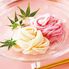 揖保乃糸 紅白素麺詰合せ MB-20 4253-063　(白麺50g×8束、赤麺50g×4束) / そうめん 素? 詰め合わせ セット 送料無料