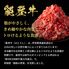 能登牛 切り落とし 300g / 牛肉 ギフト 送料無料