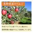 和紅茶と輪りんごのアップルティーギフト籠袋 / 紅茶 送料無料
