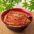 【上代厳守】超特大 鹿児島県産うなぎ蒲焼セット 長焼き 500g （長焼き 250g 2尾) / 国産 鰻 ウナギ 冷凍 送料無料