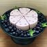 #CHACOCHEEブルーベリー / 冷凍 送料無料 ギフト チーズケーキ 北海道