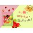 贅沢いちごの梅包み（12袋入） / 常温 送料無料 干し梅 おやつ