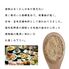 酒粕塩 20袋 / 常温 送料無料 塩 フレーバーソルト